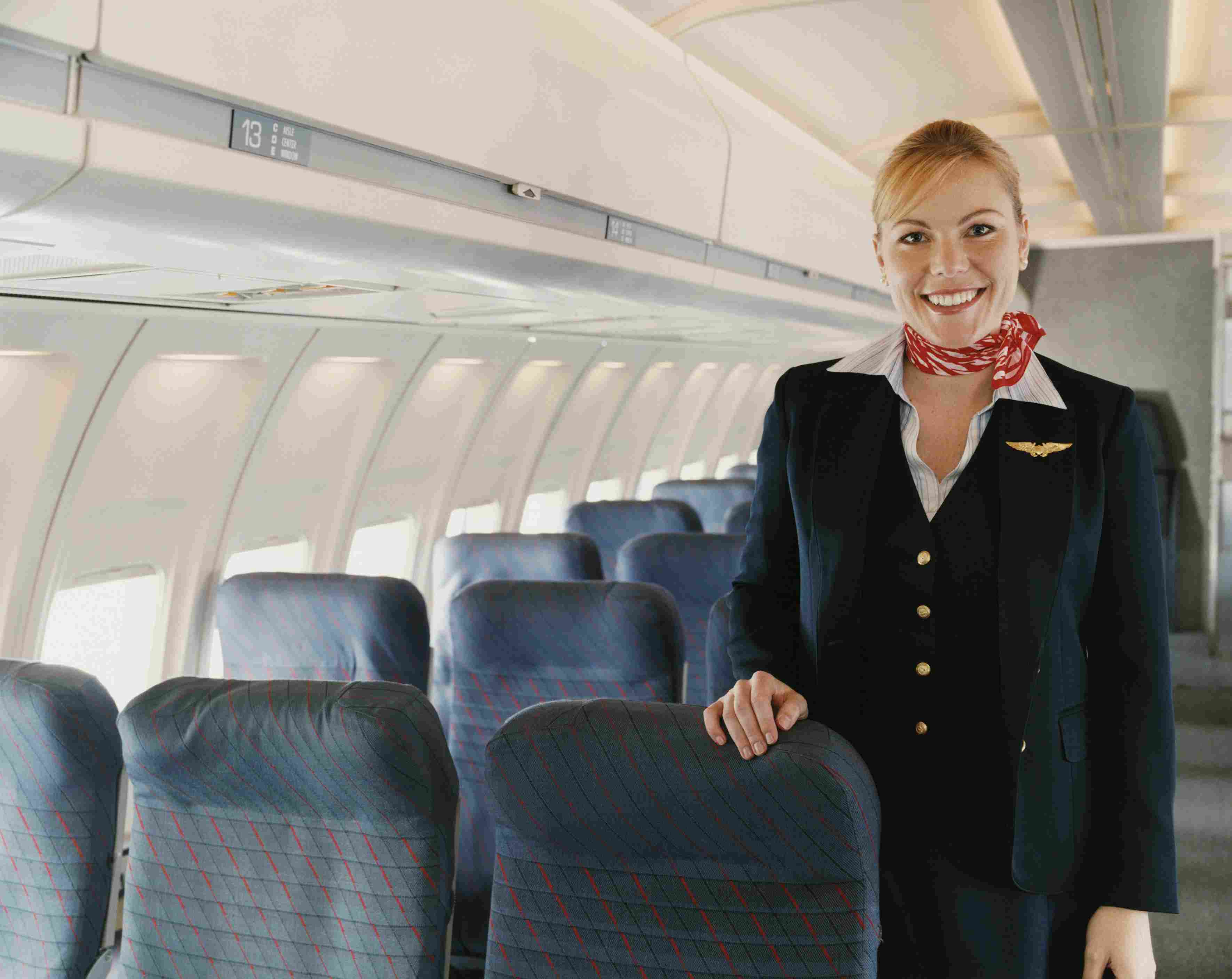 the essential guide to becoming a flight attendant pdf