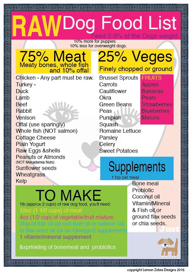raw food diet dogs feeding guide