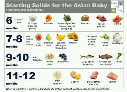 baby feeding guide 8 months