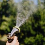 pexels-photo-4870792