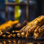 pexels-photo-36130260