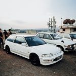 pexels-photo-29237001